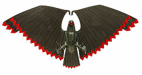 Eagle Warplane